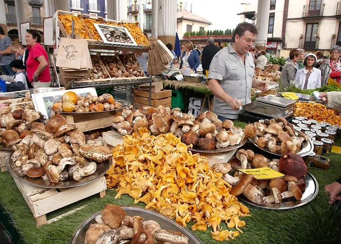 Aterian Aresti 扎鲁亚斯